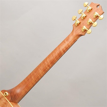 MATON EBG808PF LTD Natural 【10本限定モデル】 メイトン 画像10