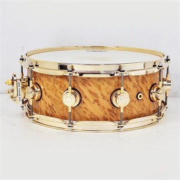 dw USED 中古 [Collector's Pure Maple Snare Drum 14×5.5 / Standard Shell / Exotic Twisted Mapa Burl] 画像1