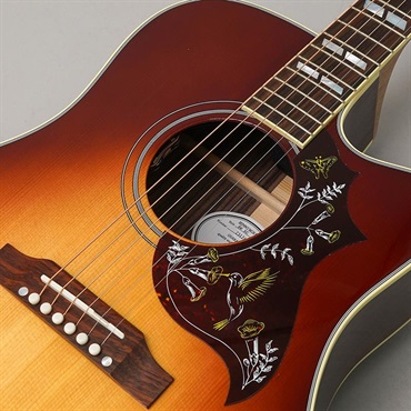 Gibson Hummingbird Standard EC Rosewood ギブソン 画像6