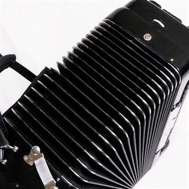 unknown USED 中古【夏のボーナスセール】EXCELSIOR Mod.901(訳あり品) M.M.M.L ミュゼット エキセルシァー イタリア製 ボタン式 クロマチックアコーディオン 120ベース 画像6