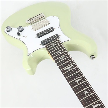 P.R.S. SE Studio Standard (Sage Green) 【2025年生産品】 画像2