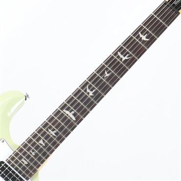 P.R.S. SE Studio Standard (Sage Green) 【2025年生産品】 画像5