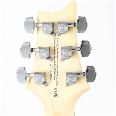 P.R.S. SE Studio Standard (Sage Green) 【2025年生産品】 画像8