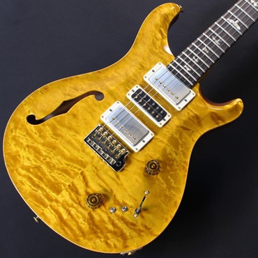 P.R.S. Ikebe 50th Anniversary Wood Library Special Semi-Hollow (Honey Gold) #0402026【2025年生産品】 画像2