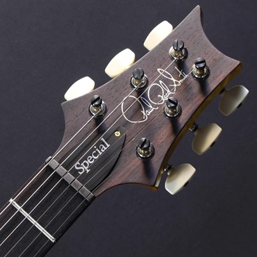 P.R.S. Ikebe 50th Anniversary Wood Library Special Semi-Hollow (Honey Gold) #0402026【2025年生産品】 画像4
