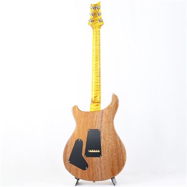 P.R.S. Ikebe 50th Anniversary Wood Library Special Semi-Hollow (Honey Gold) [SN.0401651] 【2025年生産品】 画像2