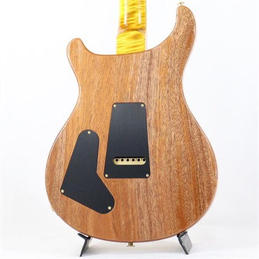 P.R.S. Ikebe 50th Anniversary Wood Library Special Semi-Hollow (Honey Gold) [SN.0401651] 【2025年生産品】 画像3