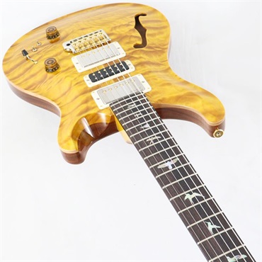 P.R.S. Ikebe 50th Anniversary Wood Library Special Semi-Hollow (Honey Gold) [SN.0401651] 【2025年生産品】 画像4