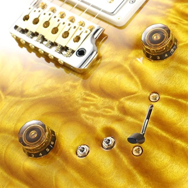 P.R.S. Ikebe 50th Anniversary Wood Library Special Semi-Hollow (Honey Gold) [SN.0401651] 【2025年生産品】 画像5