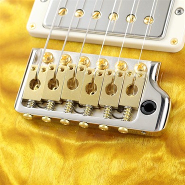 P.R.S. Ikebe 50th Anniversary Wood Library Special Semi-Hollow (Honey Gold) [SN.0401651] 【2025年生産品】 画像6