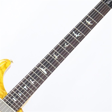 P.R.S. Ikebe 50th Anniversary Wood Library Special Semi-Hollow (Honey Gold) [SN.0401651] 【2025年生産品】 画像7