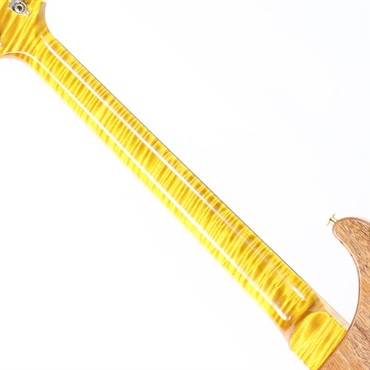 P.R.S. Ikebe 50th Anniversary Wood Library Special Semi-Hollow (Honey Gold) [SN.0401651] 【2025年生産品】 画像8