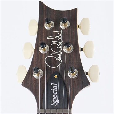 P.R.S. Ikebe 50th Anniversary Wood Library Special Semi-Hollow (Honey Gold) [SN.0401651] 【2025年生産品】 画像9