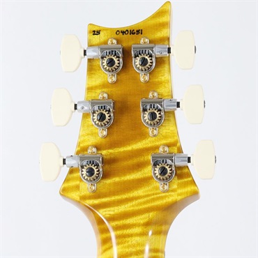 P.R.S. Ikebe 50th Anniversary Wood Library Special Semi-Hollow (Honey Gold) [SN.0401651] 【2025年生産品】 画像10