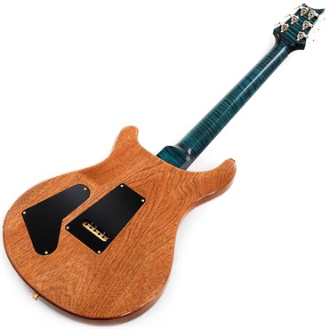 P.R.S. 【Paul Reed Smith氏サインイン入りバックプレート付属！】 Ikebe 50th Anniversary Wood Library Special Semi-Hollow (Teal) SN.0401649 画像2