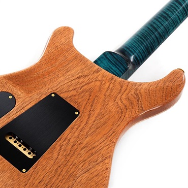 P.R.S. 【Paul Reed Smith氏サインイン入りバックプレート付属！】 Ikebe 50th Anniversary Wood Library Special Semi-Hollow (Teal) SN.0401649 画像5