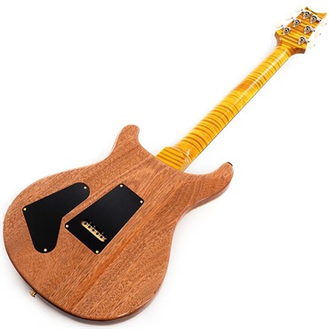 P.R.S. 【Paul Reed Smith氏サインイン入りバックプレート付属！】 Ikebe 50th Anniversary Wood Library Special Semi-Hollow (Honey Gold) SN.0402027 【2025年生産品】 画像2