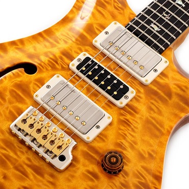 P.R.S. 【Paul Reed Smith氏サインイン入りバックプレート付属！】 Ikebe 50th Anniversary Wood Library Special Semi-Hollow (Honey Gold) SN.0402027 【2025年生産品】 画像3