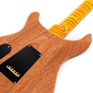 P.R.S. 【Paul Reed Smith氏サインイン入りバックプレート付属！】 Ikebe 50th Anniversary Wood Library Special Semi-Hollow (Honey Gold) SN.0402027 【2025年生産品】 画像5
