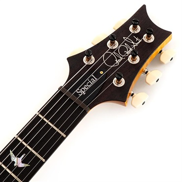P.R.S. 【Paul Reed Smith氏サインイン入りバックプレート付属！】 Ikebe 50th Anniversary Wood Library Special Semi-Hollow (Honey Gold) SN.0402027 【2025年生産品】 画像6