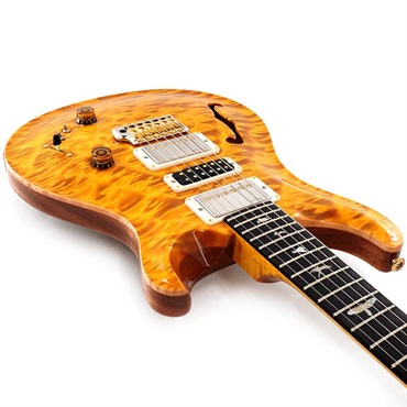 P.R.S. 【Paul Reed Smith氏サインイン入りバックプレート付属！】 Ikebe 50th Anniversary Wood Library Special Semi-Hollow (Honey Gold) SN.0402027 【2025年生産品】 画像8