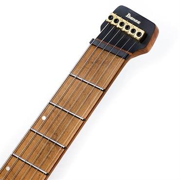 Ibanez MGFM10-OBL [Manuel Gardner Fernandes Model] 【傷あり特価】 画像8