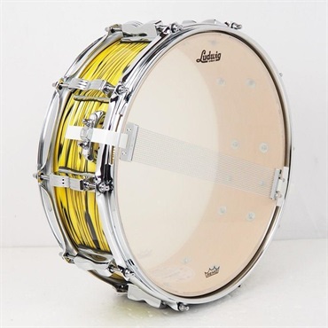 Ludwig 【創業50周年大決算SALE】LS401XXA2 [Classic Maple Snare Drum 14×5/Lemon Oyster]【店頭展示特価品】 画像4