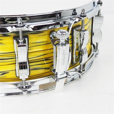 Ludwig 【創業50周年大決算SALE】LS401XXA2 [Classic Maple Snare Drum 14×5/Lemon Oyster]【店頭展示特価品】 画像5