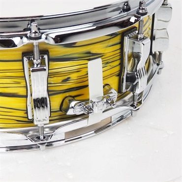 Ludwig 【創業50周年大決算SALE】LS401XXA2 [Classic Maple Snare Drum 14×5/Lemon Oyster]【店頭展示特価品】 画像6