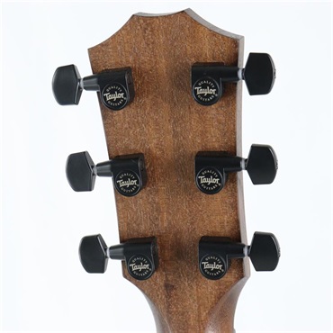 TAYLOR 【夏のボーナスセール】 AD12e-SB テイラー 画像5