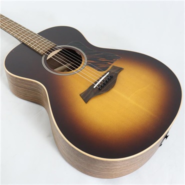TAYLOR 【夏のボーナスセール】 AD12e-SB テイラー 画像8