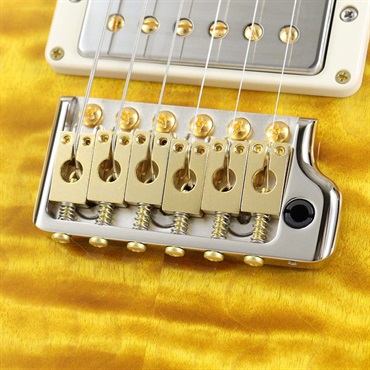 P.R.S. Ikebe 50th Anniversary Wood Library Special Semi-Hollow (Honey Gold) [SN.0401647] 【2025年生産品】 画像6