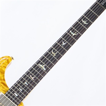 P.R.S. Ikebe 50th Anniversary Wood Library Special Semi-Hollow (Honey Gold) [SN.0401647] 【2025年生産品】 画像7