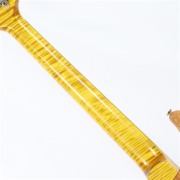 P.R.S. Ikebe 50th Anniversary Wood Library Special Semi-Hollow (Honey Gold) [SN.0401647] 【2025年生産品】 画像8