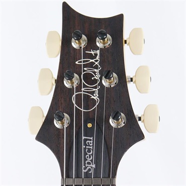 P.R.S. Ikebe 50th Anniversary Wood Library Special Semi-Hollow (Honey Gold) [SN.0401647] 【2025年生産品】 画像9