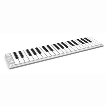 ESI Xkey 37 (MIDIコントローラー)(イーエスアイ)(37鍵盤) 画像1