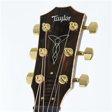 TAYLOR CTM GAce Hand Select All Quilt Maple （Trancerucent Black Burst） 【イケベ楽器店創業50周年記念限定モデル】 テイラー 画像4