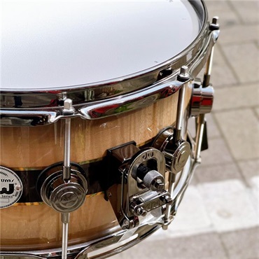 dw 【イケベ楽器店創業50周年企画モデル】 DR366514SSN-DC3 [Collector's Pure Maple ''333'' Shell 14×6.5 / Quick Candy Black Burst over Italian Sycamore Exotic Veneer - Ziricote Inlay w/ Gold Leaf Pinstripes] 画像1
