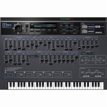 Roland D-50 Software Synthesizer [Lifetime Key] (ローランド)(ソフトシンセ)(オンライン納品)(2時間以内に納品) 画像2
