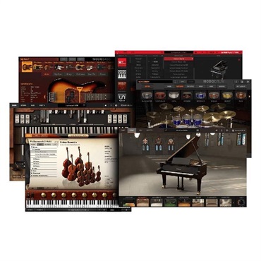 IK Multimedia Total Studio 5 MAX v2 Maxgrade (アイケーマルチメディア)(トータルスタジオ)(ソフトウェアバンドル)(オンライン納品) 画像3