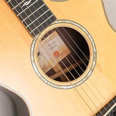 TAYLOR USED 中古 CTM GCce Adirondack Spruce / Indian Rosewood テイラー イケベリユース認定中古楽器 画像8