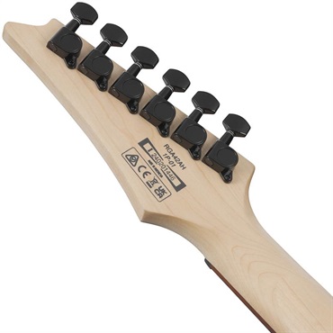 Ibanez RGA42AH-BKS (Black Stained) [SPOT MODEL] 画像5