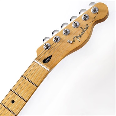 Fender MEX Player II Telecaster (Black/Maple) 【B級特価】 画像6