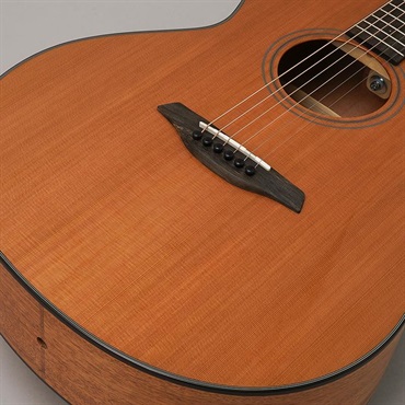 Furch Blue Plus Gc-CMa フォルヒ 画像8