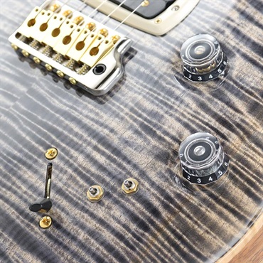 P.R.S. Modern Eagle V 10top (Charcoal) [SN.0406721]【2025年生産品】 画像5