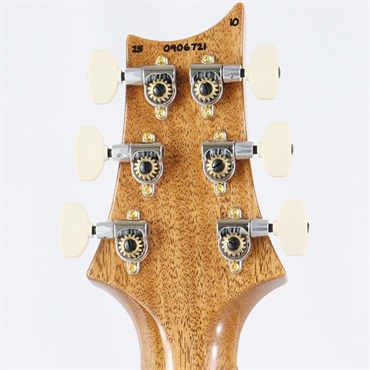 P.R.S. Modern Eagle V 10top (Charcoal) [SN.0406721]【2025年生産品】 画像9