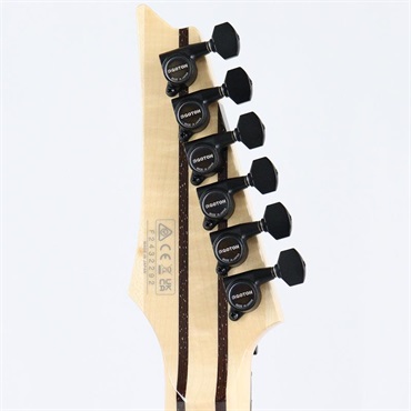 Ibanez j.custom Axe Design Lab RG8870-BSR (Brownish Sphalerite) [SPOT MODEL] 画像9