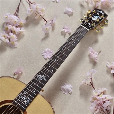 Headway HF-KOBOREZAKURA ヘッドウェイ 画像9
