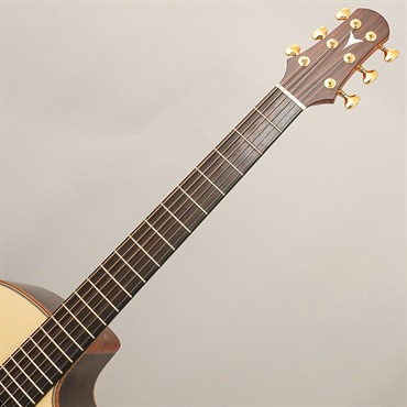 K.Yairi BLC CTM Adirondack Spruce / Figured Indian Rosewood【Ikebe Original Order Model】 画像8