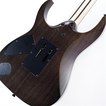 Ibanez j.custom RG8620AH-BQZ (Black Quartz) SN.F2516255 画像7